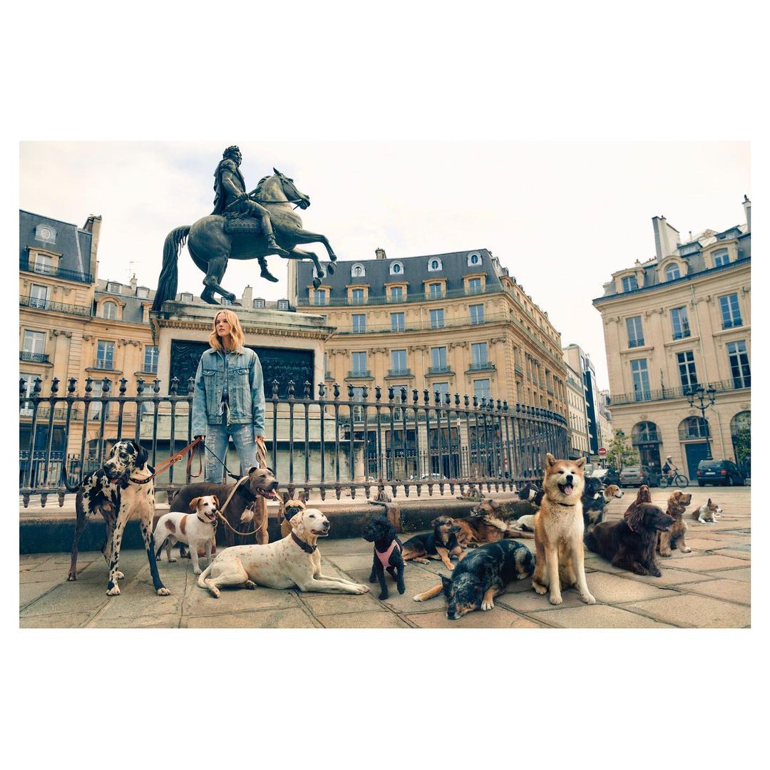 Woman surrounded by dogs in urban setting, with a bronze equestrian statue and buildings in the background, showcasing a lively outdoor scene.
