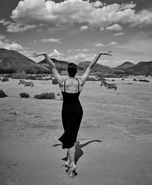 Black and white image of a ballet dancer in a black dress with zebras and mountains in the background, dancer has her arms raised.