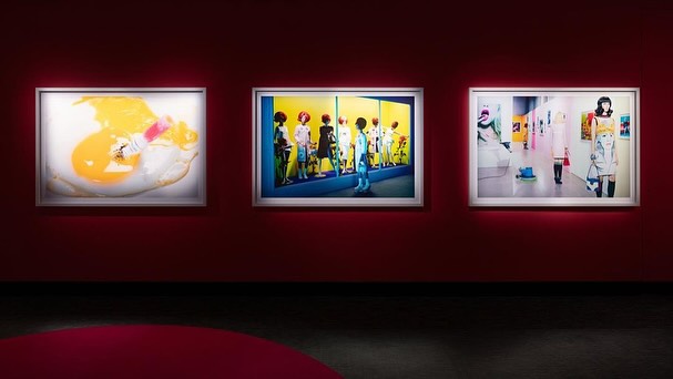 Art gallery wall featuring framed photographs, with one showing an egg with a tube of paint, another featuring a fashion art display.