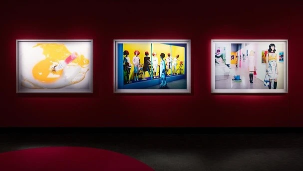 Art gallery wall featuring framed photographs, with one showing an egg with a tube of paint, another featuring a fashion art display.