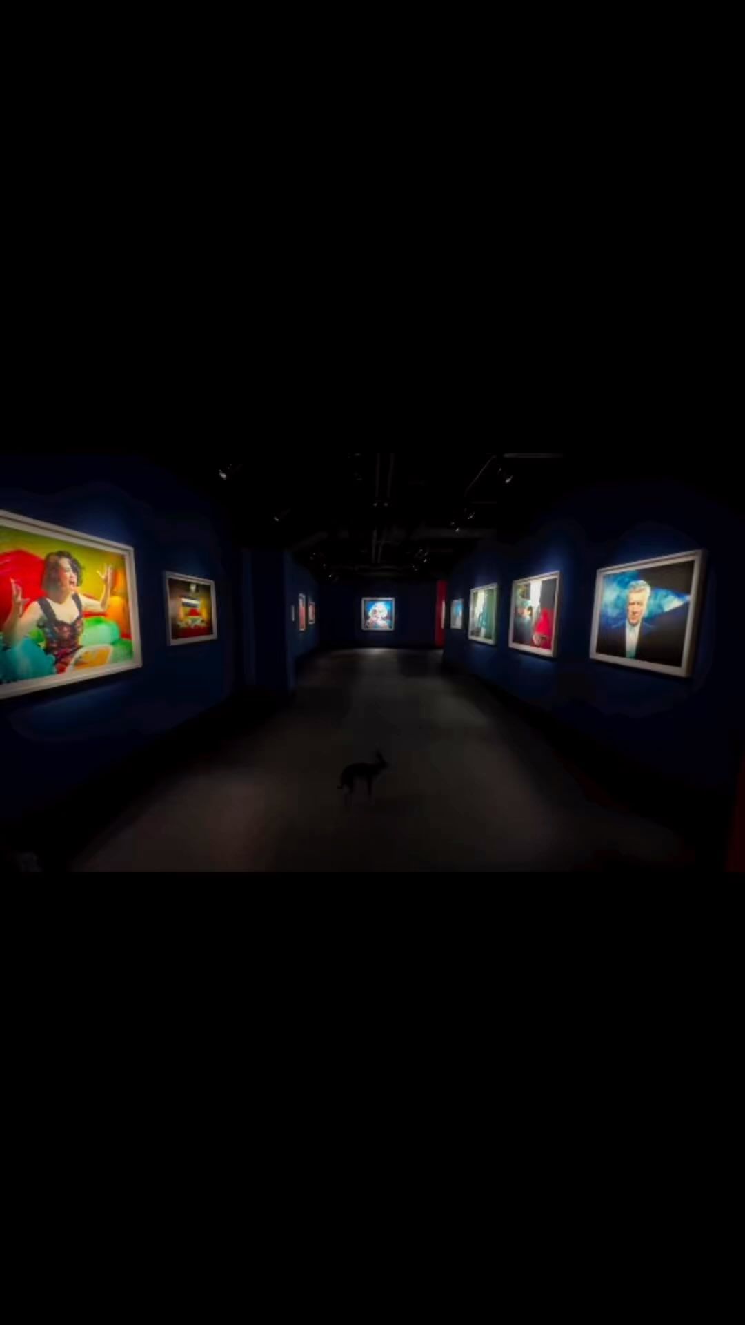 Art gallery interior featuring paintings and a small black dog walking down the center of the hallway with blue walls.