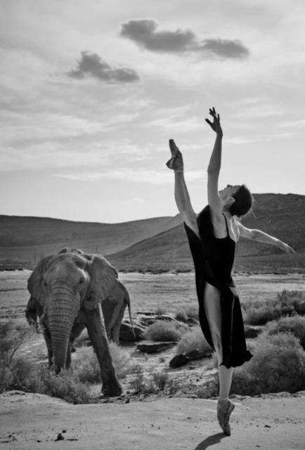 Black and white shot of a ballet dancer in a black dress, en pointe, with an elephant in the background in a field under a cloudy sky.