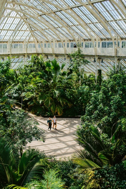 Two people walk along a path in a greenhouse filled with lush tropical plants and tall trees beneath a steel and glass roof structure.