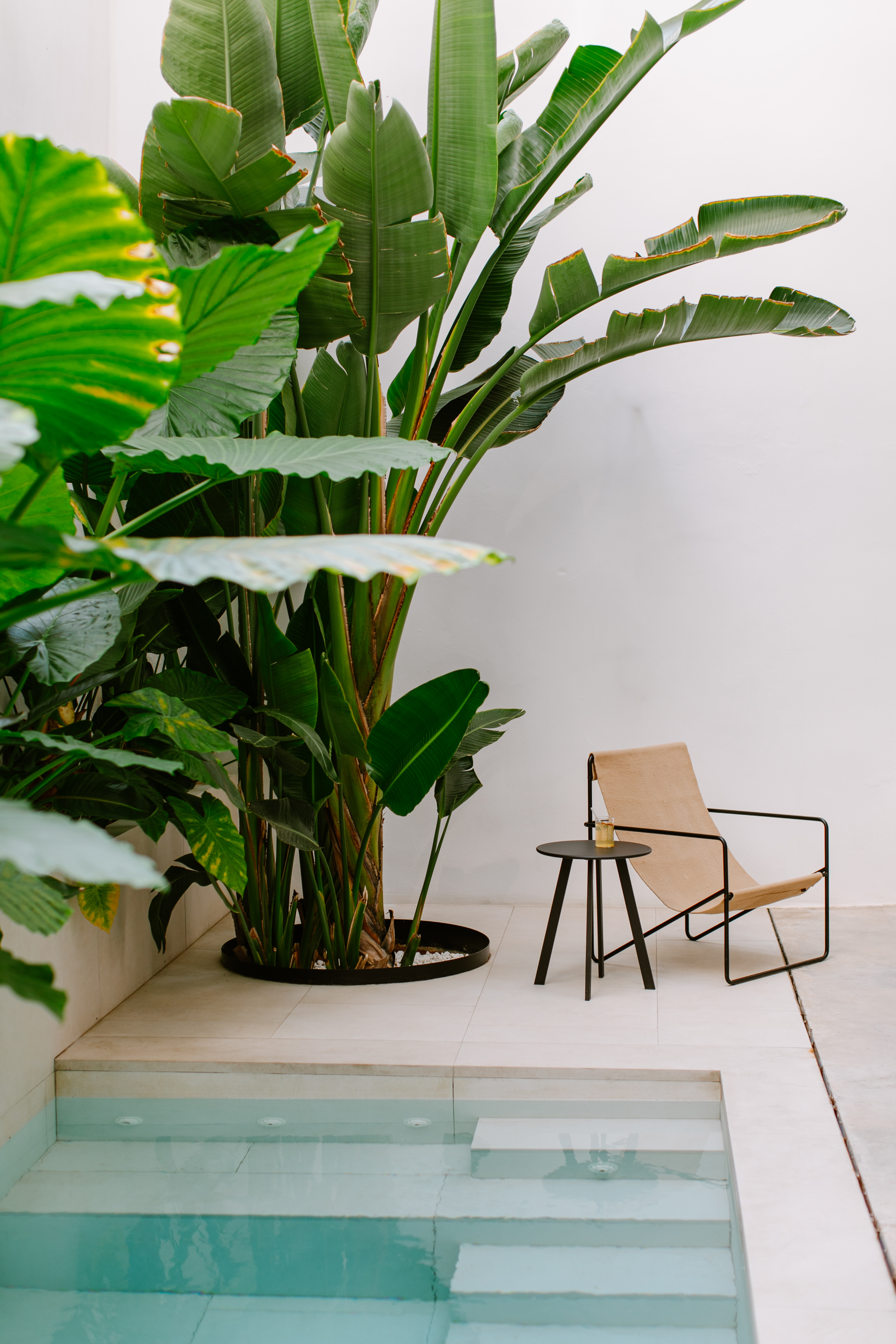 Indoor-outdoor space with a modern chair and small table beside a tropical plant, next to a shallow pool with tile steps.