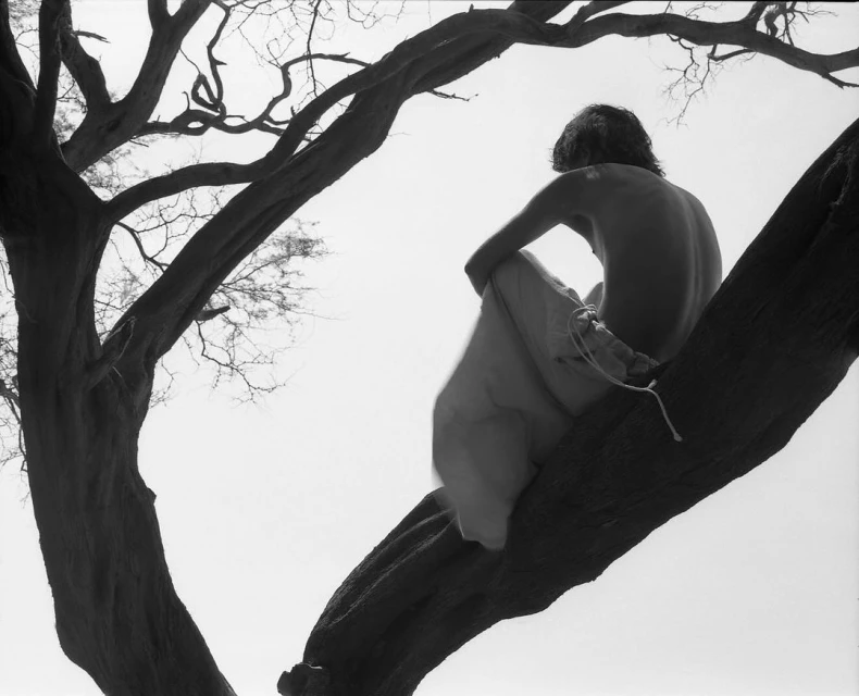 Back view of a person with long hair sitting on a tree branch in a black and white photograph, with bare skin and a natural setting.