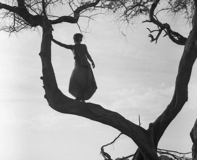 Monochrome shot of a woman standing on a bare tree branch against a bright sky, showcasing her full skirt and sleeveless top in a natural setting.
