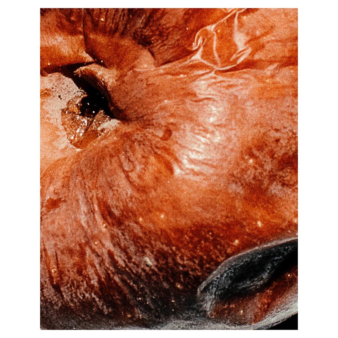 Close-up of an apple with a textured, rippled skin in shades of red, brown, and white, and a deep hole or blemish.