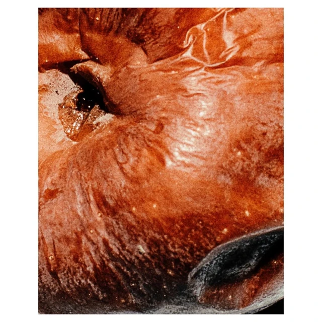 Close-up of an apple with a textured, rippled skin in shades of red, brown, and white, and a deep hole or blemish.