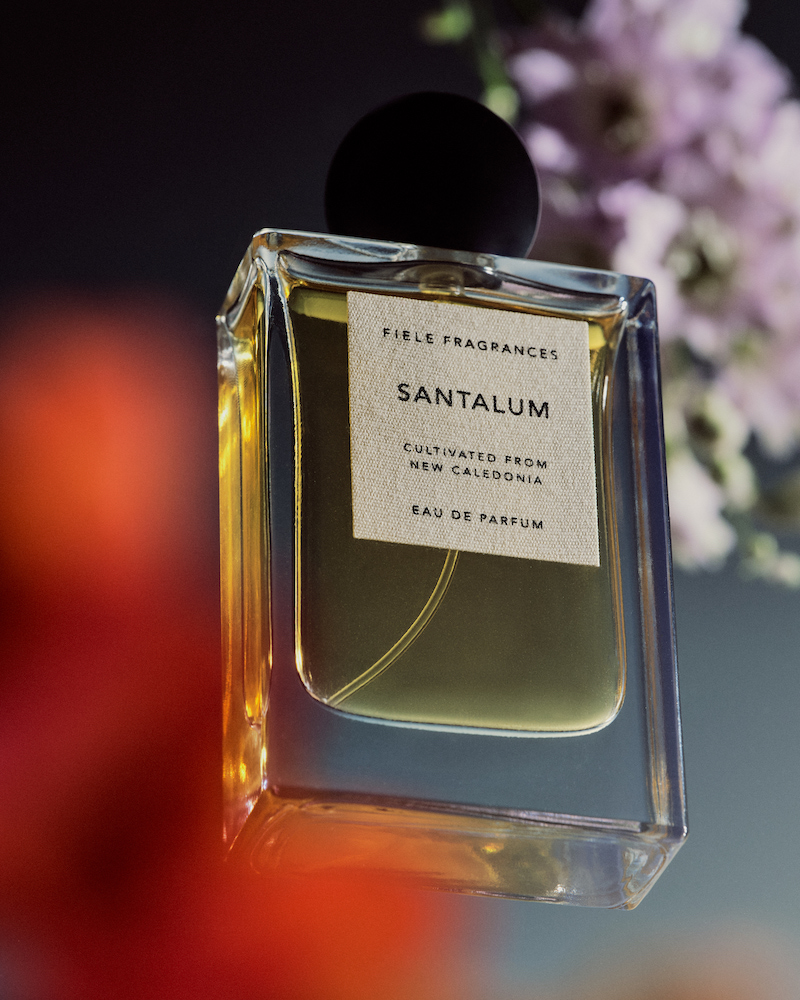 Rectangular glass perfume bottle with black cap and tan label in front of soft focus purple flowers and diffused red color.