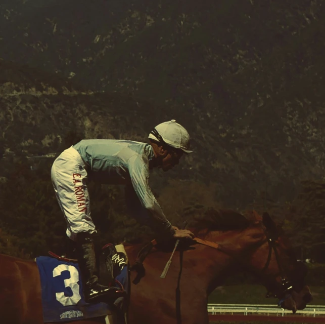 Racehorse and jockey in action on a track, mountains in the background, jockey wearing number 3, horse running with rider.