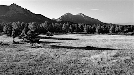 Black and white landscape photograph showing a grassy field, a dense line of trees, and sharp mountain peaks under an open sky.