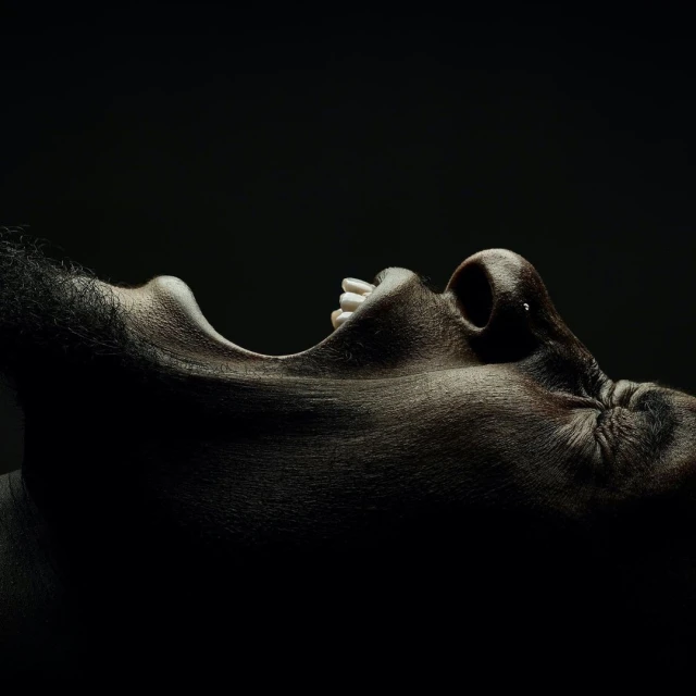 Close-up studio shot of an adult with a dark complexion. The subject's mouth is open, and the chin is tilted upwards against a stark black background.
