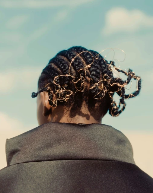 Back of a person's head with cornrow braids and gold wire details, against a light-blue sky with some clouds and soft, neutral-toned earth.