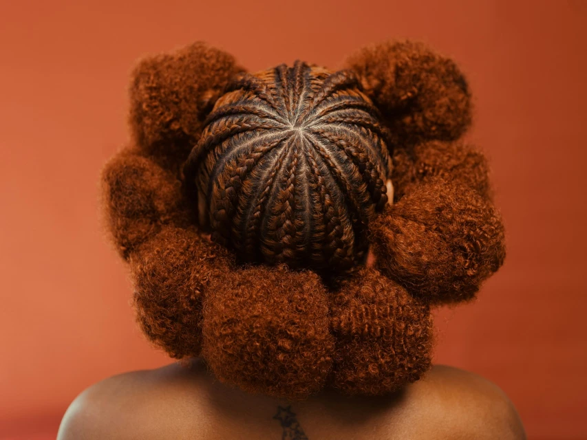 Woman with a braided hair bun and large afro puffs against a solid orange backdrop in a beauty or fashion context. Beauty shot.