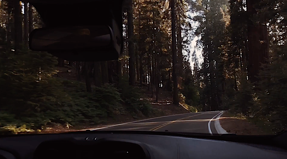 Car driving on a winding road through a dense forest with tall trees and lush greenery, captured from the car's interior view.