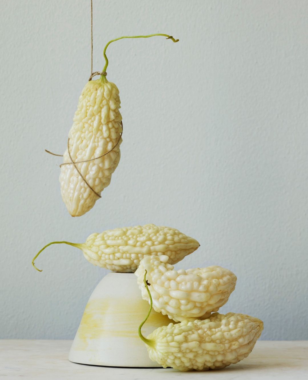Still life of white bitter melons: one melon hangs vertically, while others rest on a modern sculptural pedestal against a light blue background.