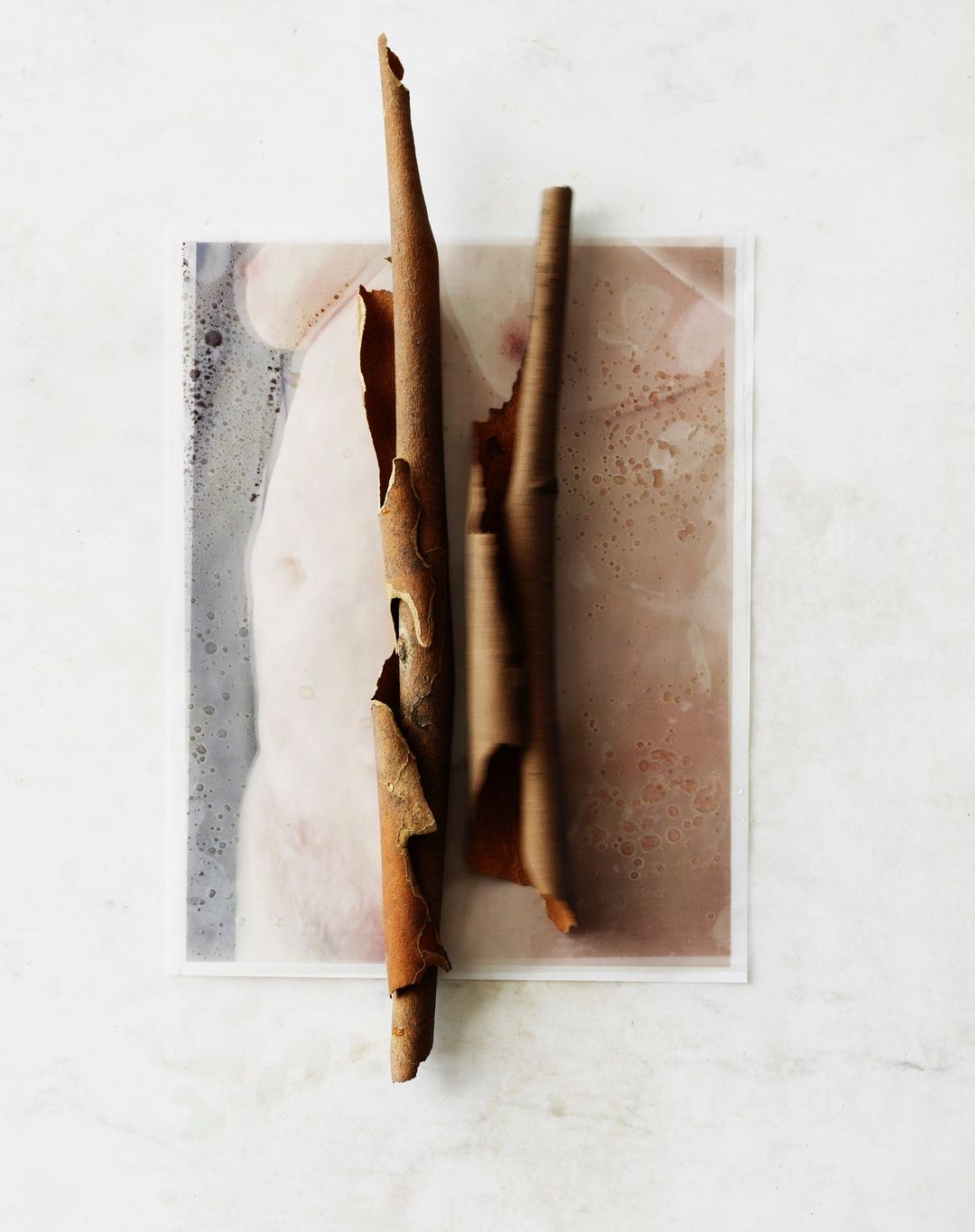 Abstract still life featuring brown cinnamon sticks with curling bark, arranged on a color-washed paper against a light marble surface.