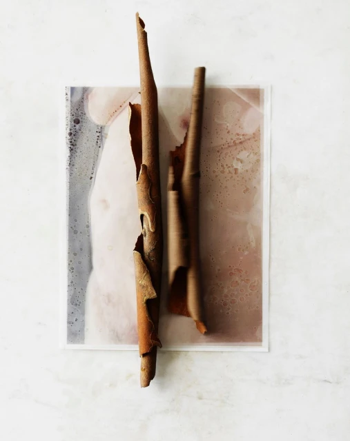 Abstract still life featuring brown cinnamon sticks with curling bark, arranged on a color-washed paper against a light marble surface.