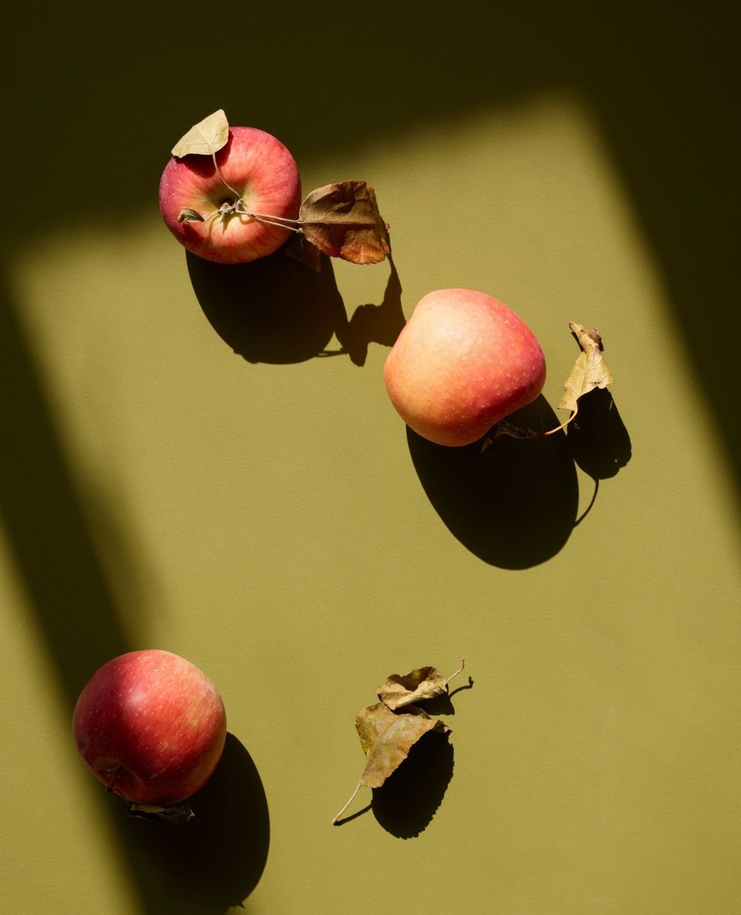 Still life studio shot of three red apples and dried leaves arranged on a green surface with dramatic lighting and deep shadows.