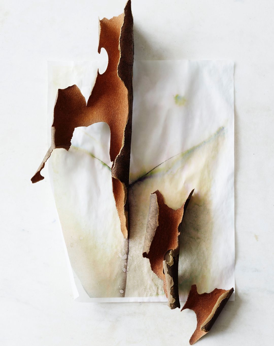 Abstract image of torn brown paper pieces arranged on a textured white surface with a leaf-like pattern, creating an artistic effect.