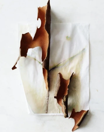 Abstract image of torn brown paper pieces arranged on a textured white surface with a leaf-like pattern, creating an artistic effect.