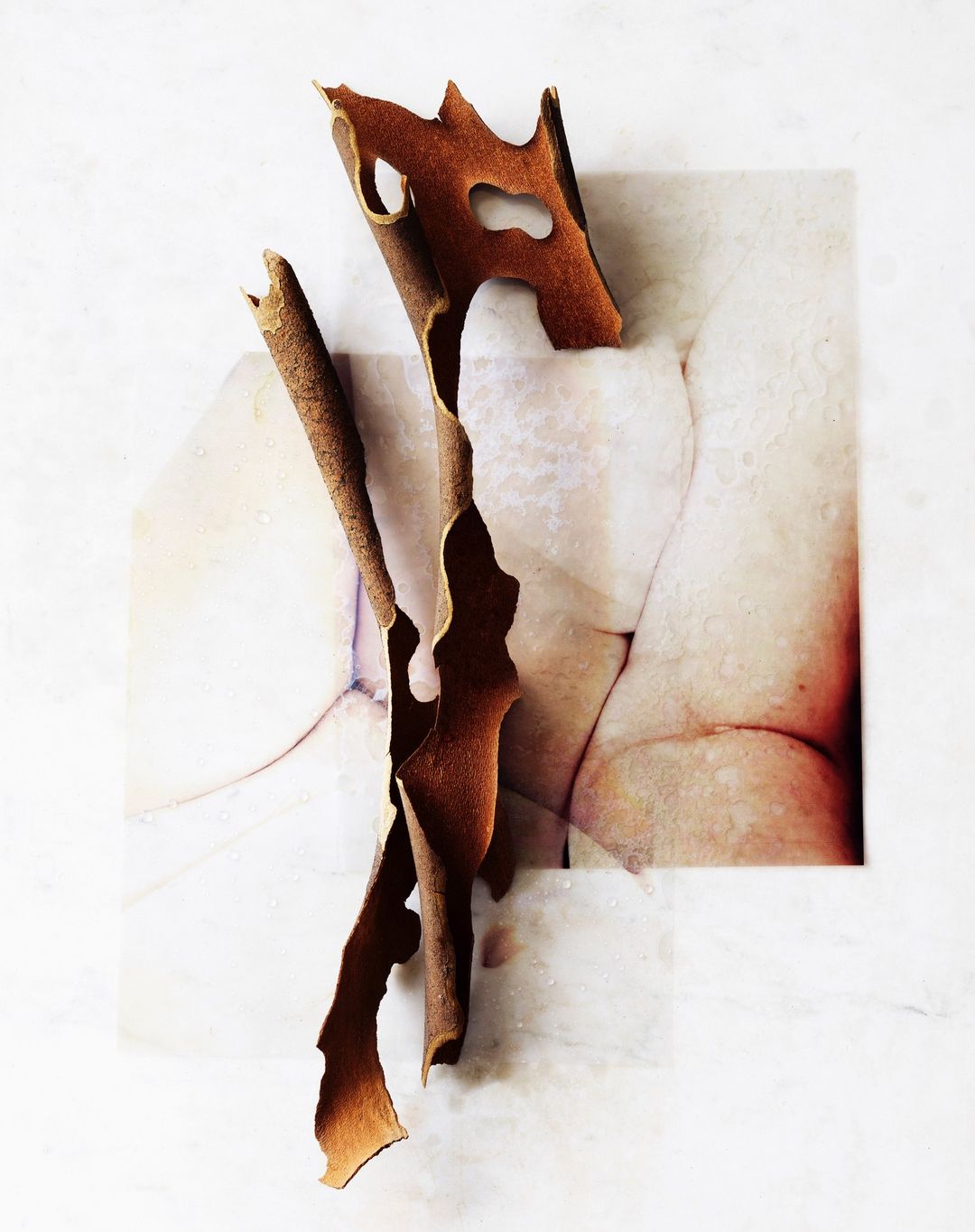 Abstract composition featuring a partially obscured human figure behind organic shapes, creating a layered, textured visual experience.