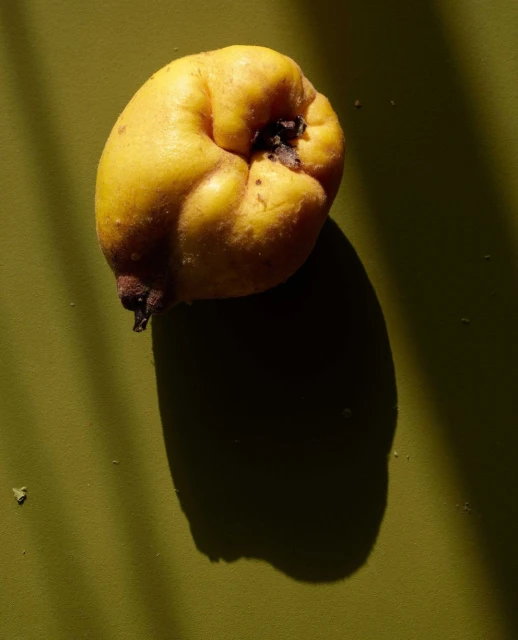 Close-up of a yellow quince fruit on a green surface, casting a dark shadow with natural light and texture visible.