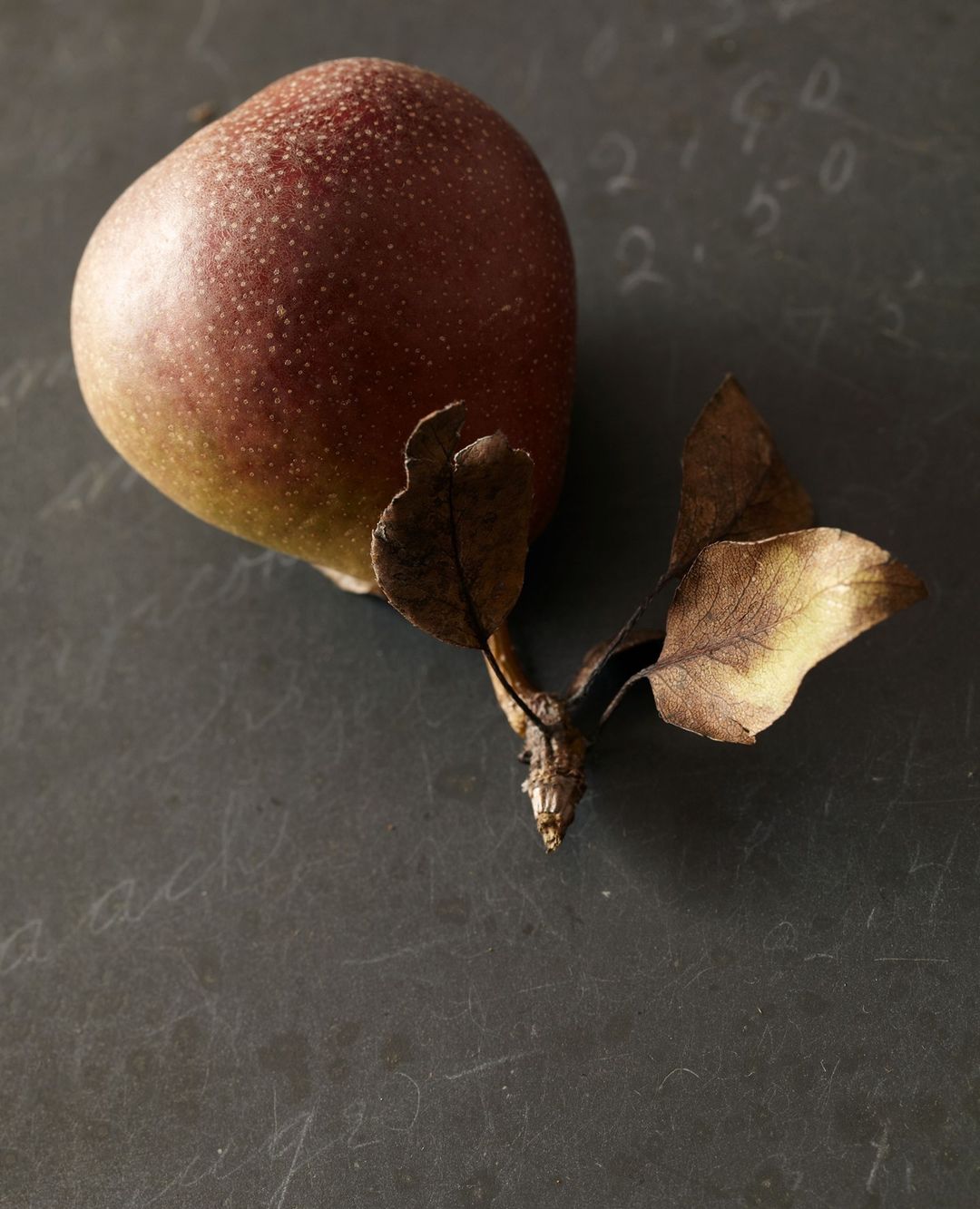 A still life photograph of a red pear with brown leaves on a dark gray surface, showcasing natural food photography and rustic presentation.