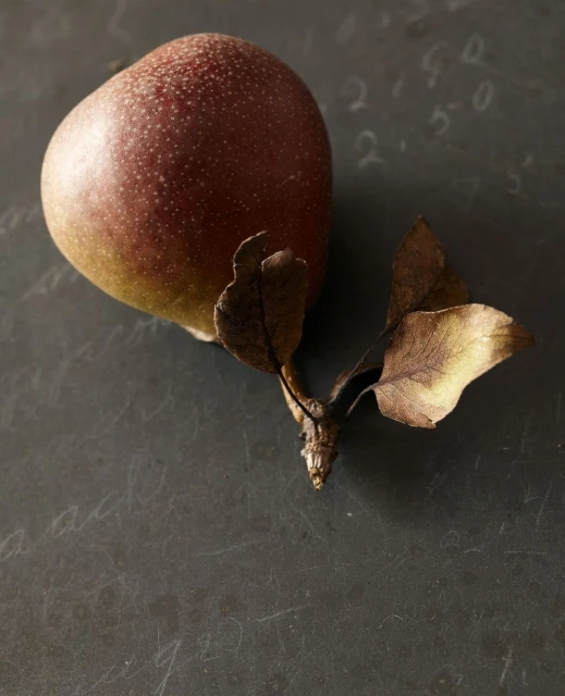 Beth Galton
