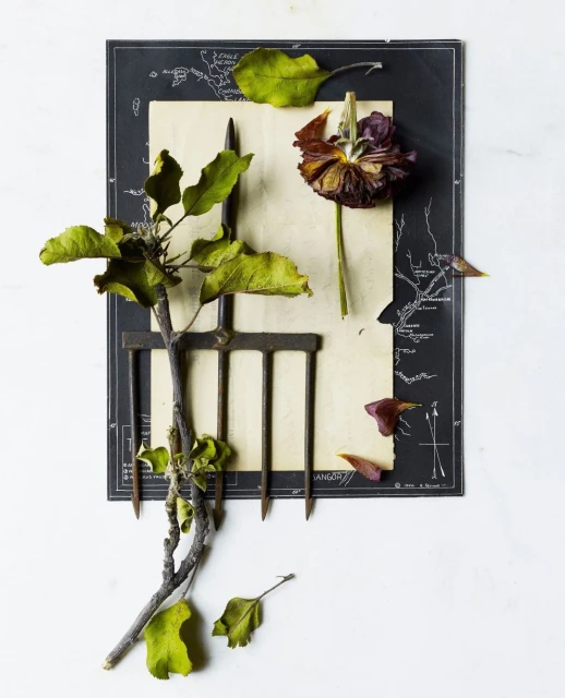 Still life arrangement featuring a dead flower, leaves, branch, and vintage garden fork against a map and aged paper.