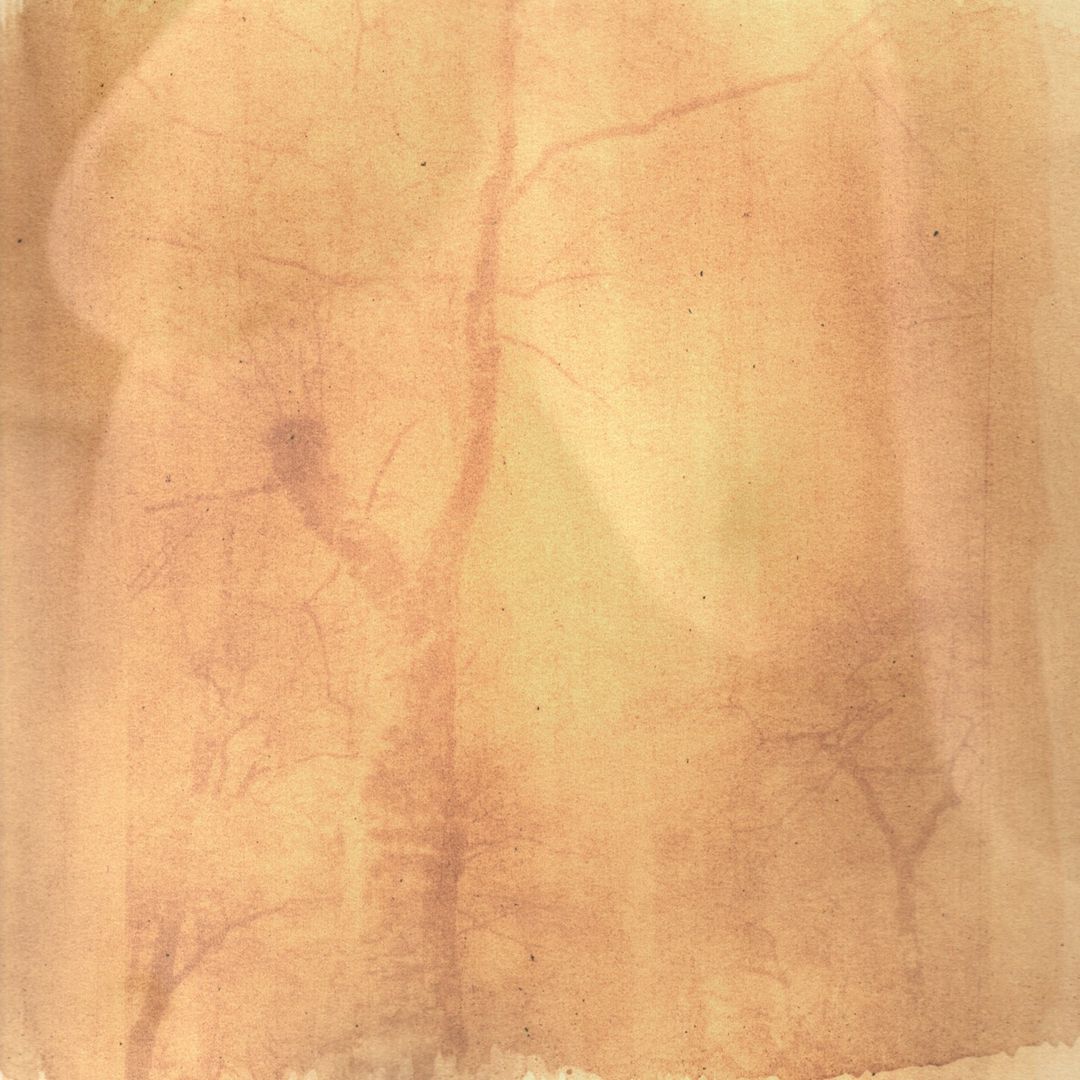 Abstract photo of tree branches with sepia tones and vintage texture overlay, creating an aged, artistic effect.