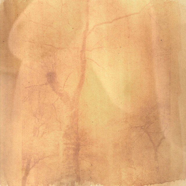 Abstract photo of tree branches with sepia tones and vintage texture overlay, creating an aged, artistic effect.