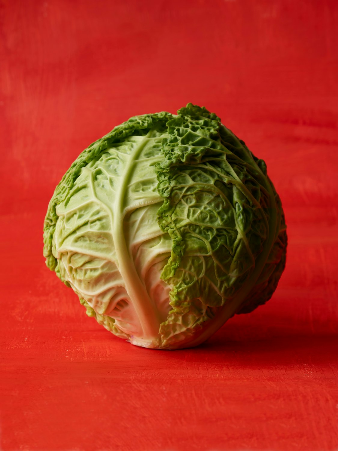 Close-up of a savoy cabbage on a red background, showcasing its textured leaves and vibrant colors in a studio food photography setting.