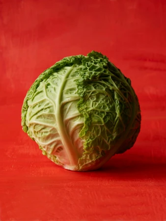 Close-up of a savoy cabbage on a red background, showcasing its textured leaves and vibrant colors in a studio food photography setting.