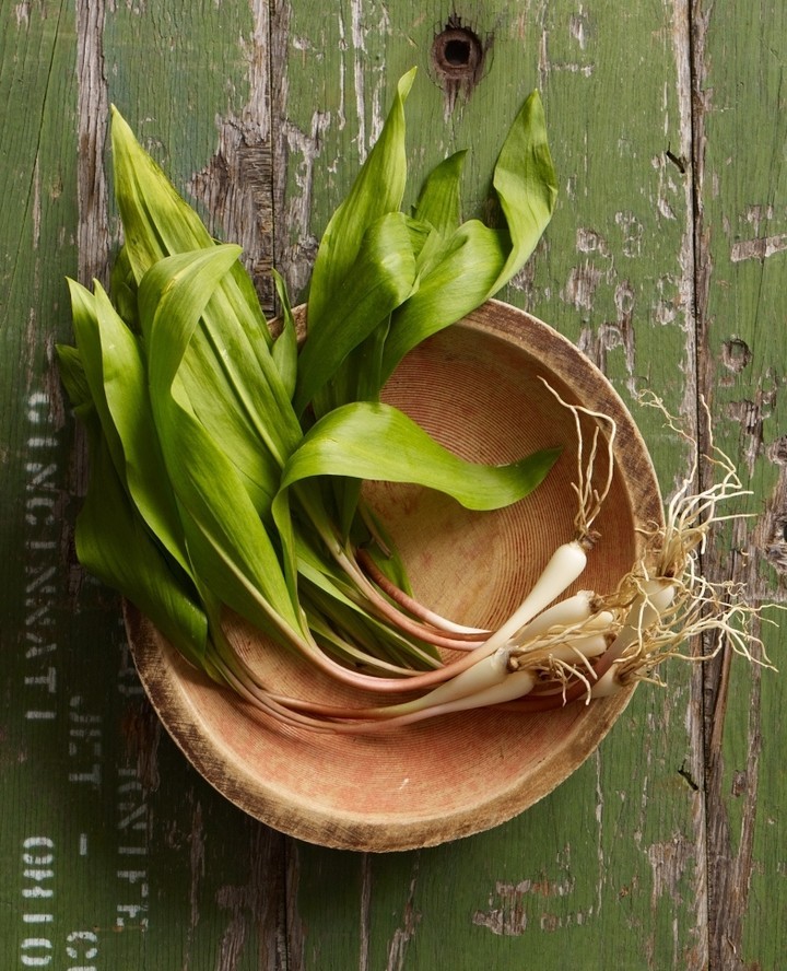 Close-up of fresh ramps (wild leeks) in a wooden bowl, set against a rustic green wooden surface, showcasing their vibrant green leaves.