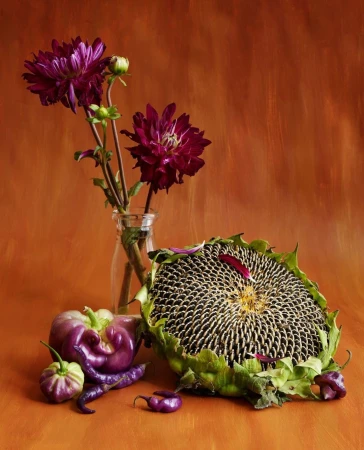 Still life featuring dahlia flowers in a glass jar, a sunflower head, and purple peppers against a textured orange background.