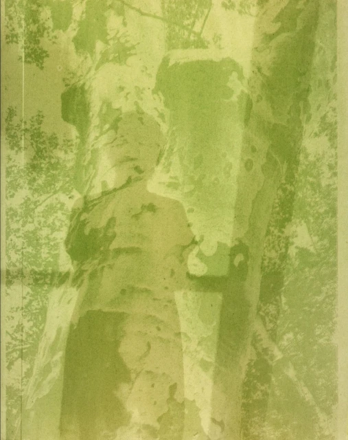 Abstract image of weathered stone figures surrounded by trees in green tones, creating a vintage or historical atmosphere. 