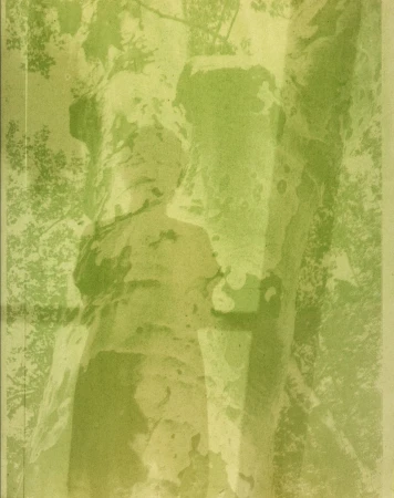 Abstract image of weathered stone figures surrounded by trees in green tones, creating a vintage or historical atmosphere. 