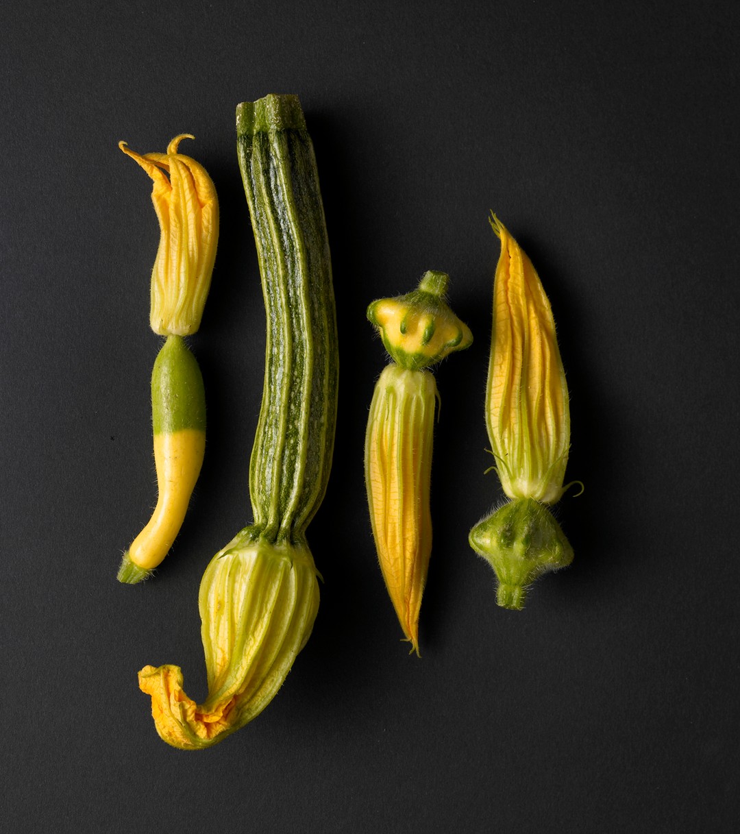 Overhead shot on dark surface of fresh zucchini and squash blossoms in yellow and green hues, showcasing food and beauty.