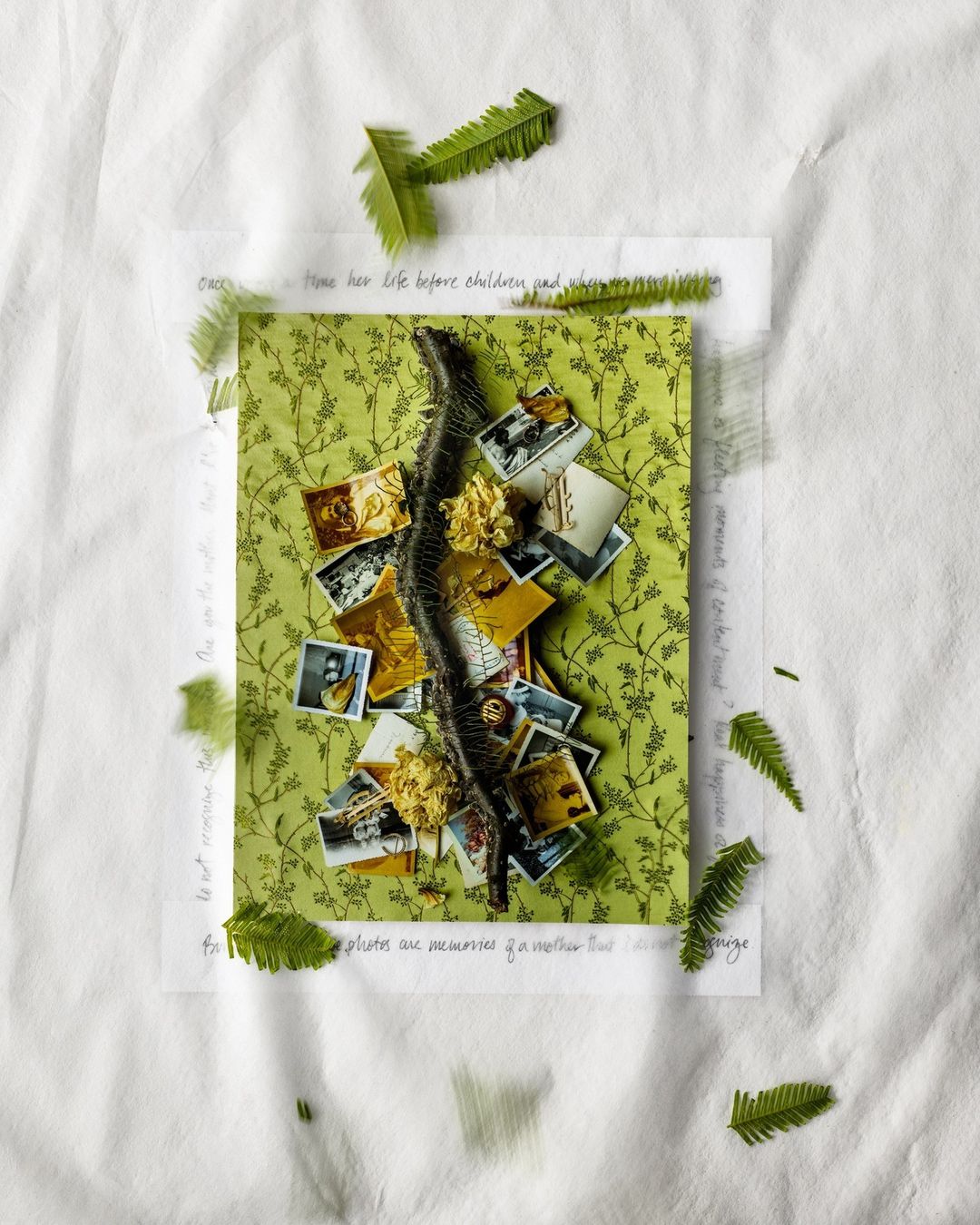 Overhead shot of green patterned card with photos, fern leaves, and snake skin on crinkled white fabric; a flat lay composition.