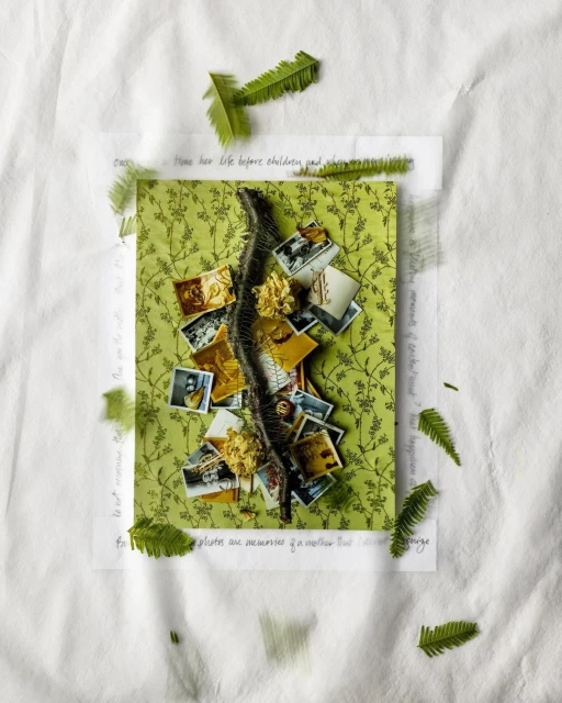 Overhead shot of green patterned card with photos, fern leaves, and snake skin on crinkled white fabric; a flat lay composition.
