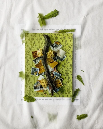 Overhead shot of green patterned card with photos, fern leaves, and snake skin on crinkled white fabric; a flat lay composition.