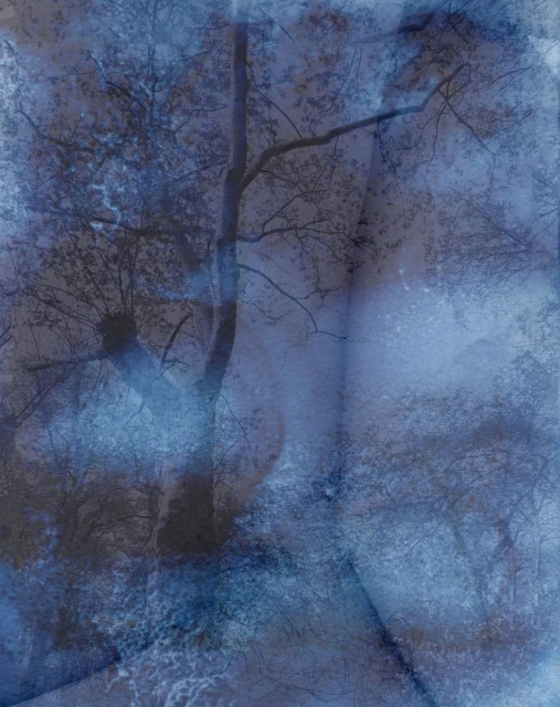 Abstract nature photography featuring trees and branches in a muted blue and grey palette with soft textures, creating a dreamy, artistic image.