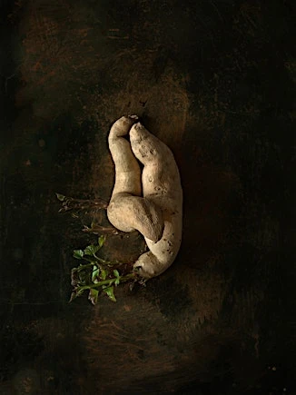 Unique double sweet potato on dark textured background with green sprouts. Rustic food photography evokes natural and earthy textures.