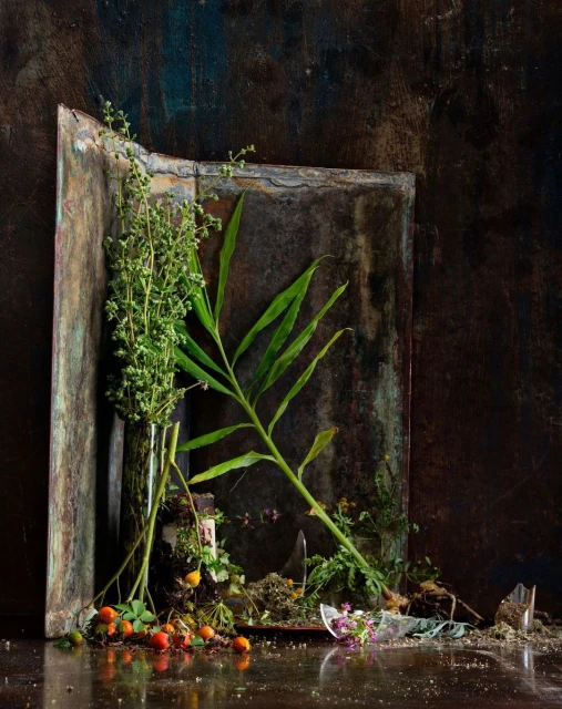 Still life photograph of cut foliage and berries arranged with a broken plate, reflecting on a dark tabletop against a mottled backdrop.
