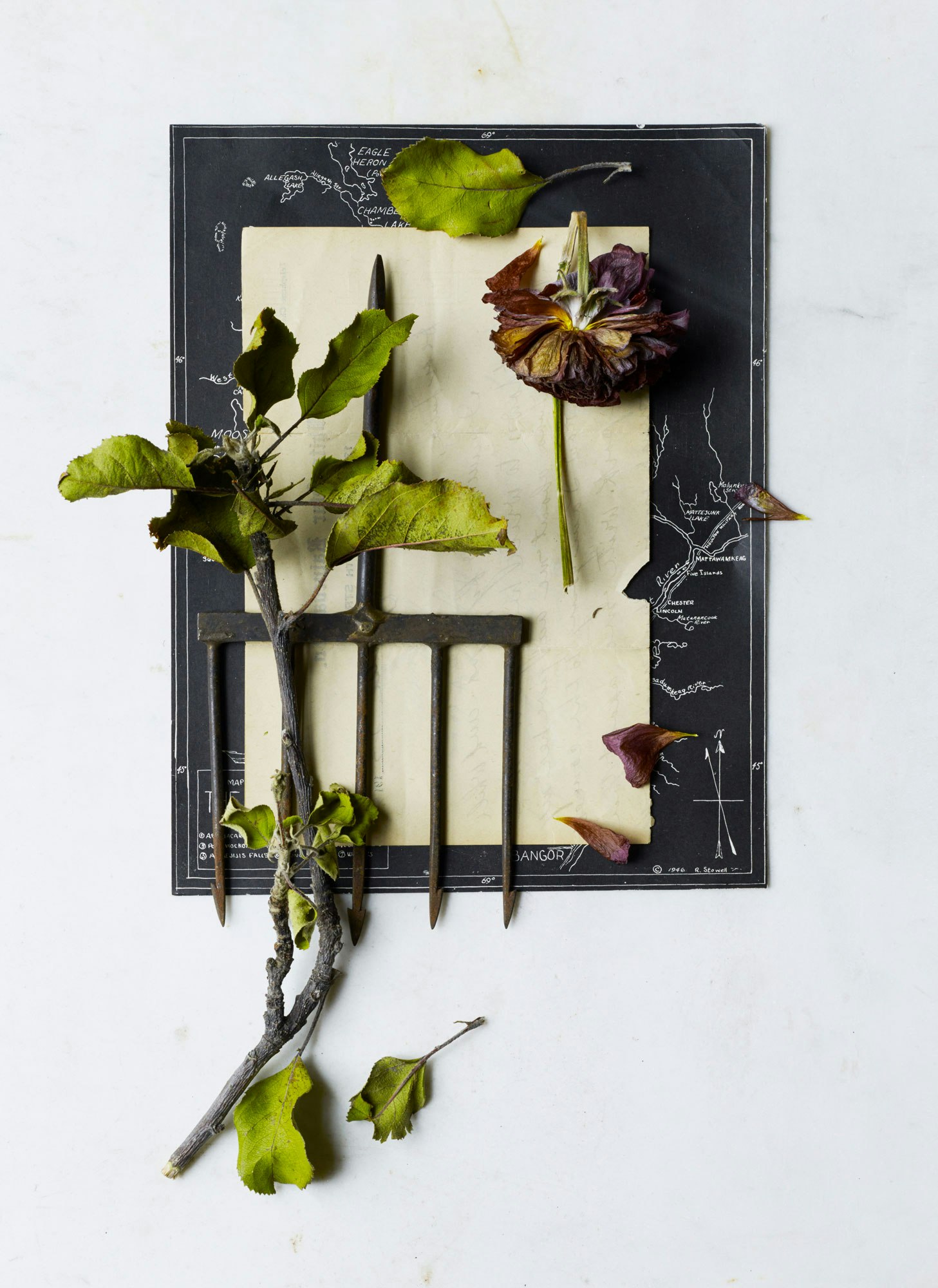Still life of a dried flower, apple branch with leaves, vintage garden fork, and a map on a white surface. Botanical and vintage-inspired.