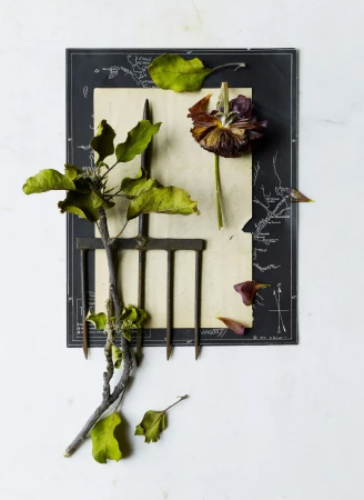 Still life of a dried flower, apple branch with leaves, vintage garden fork, and a map on a white surface. Botanical and vintage-inspired.