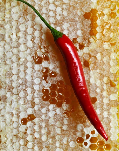 Overhead shot of a red chili pepper on a honeycomb surface, highlighting the contrast between the smooth pepper and the textured honey.