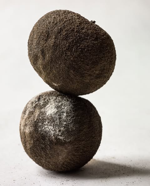 Two rough, dark walnuts stacked vertically against a soft white background, showcasing their textured shells and natural beauty.