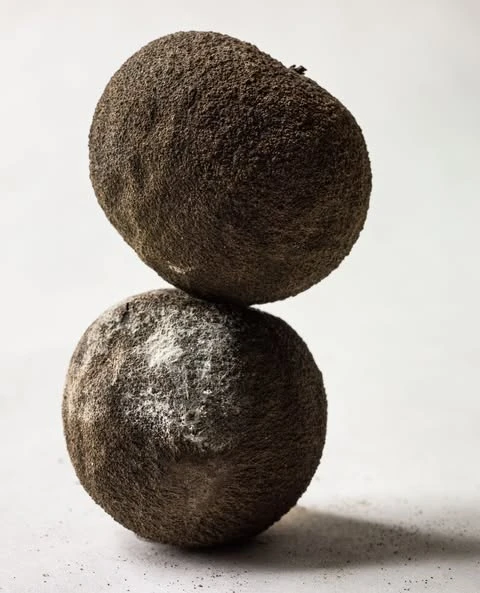 Two rough, dark walnuts stacked vertically against a soft white background, showcasing their textured shells and natural beauty.